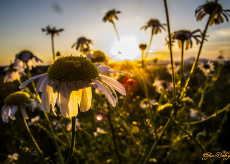 Súťaž Najkrajšia fotografia z územia MAS/VSP 2015